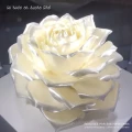 A la découverte de la Rose Côte d'Or!