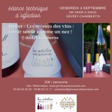 séance technique d'olfaction - les arômes des vins