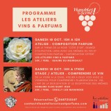 vignobles en scène 2025 - programme