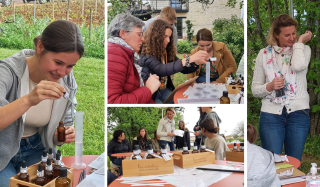 atelier composition de parfum dans les vignes