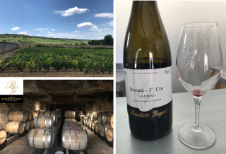 visite de domaine: baptiste guyot - beaune