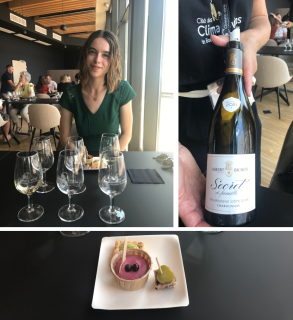 inauguration cité des climats et vins de bourgogne: la dégustation