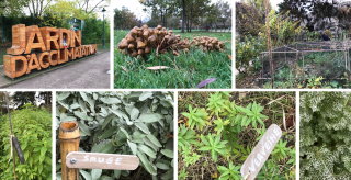 visite de jardin: jardin d'acclimatation - paris
