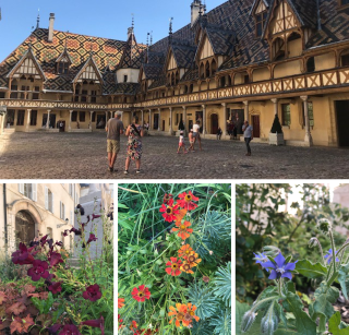 visite de jardin: hôtel-dieu de beaune