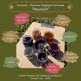 nuancier - peinture végétale "meursault"