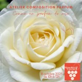 "comme un parfum de rose"