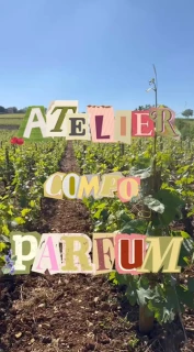 Composition parfum Pinot noir