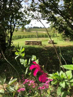 Le jardin olfactif intro