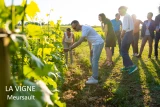 le cadre des ateliers 