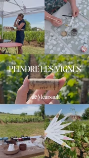 Peindre les vignes de Meursault