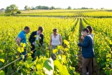 atelier le parfum du vin de Meursault